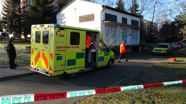 �ena s d�t�tem v n�ru�� v ���anech vysko�ila z okna (29.11.2016).