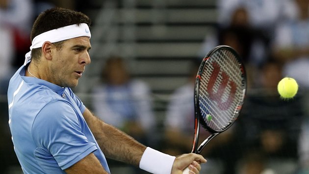 Argentinsk tenista Juan Martn Del Potro ve finle Davis Cupu