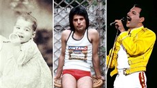 Freddie Mercury