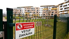 Starosta brněnských Žabovřesk Pavel Tyralík koupil dva byty ve dvou různých...