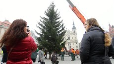 Jihlava už má svůj vánoční strom. Masarykovo náměstí bude letos zdobit deset...