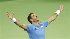 TRIUMF. Juan Martín del Potro slaví po vítězné dvouhře ve finále Davis Cupu.