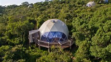 V Tanzanii v rezervaci Ngorongoro vyrostlo v korunách strom� osm prostorných...