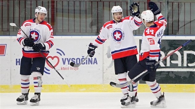 G�lov� radost hokejist� T�eb��e.