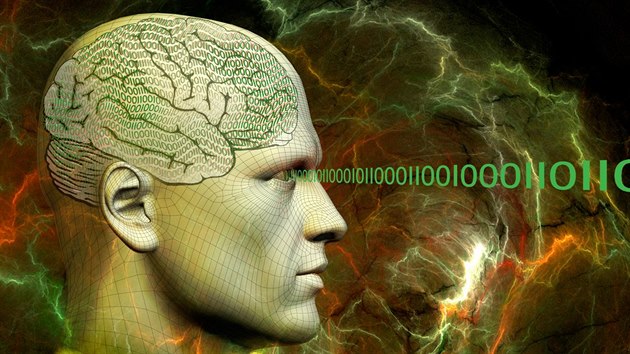 Skrze smyslové vnímání získává mozek informace