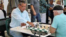 Domino Park v ulici Calle Ocho