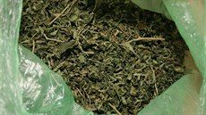 Policisté na Rychnovsku zadrželi při domovních prohlídkách marihuanu za milion...
