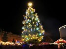 Vánoní strom v Karlových Varech