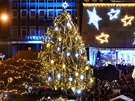Vánoní strom v Ústí nad Labem