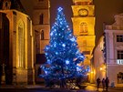 Vánoní strom v Hradci Králové