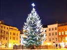 Vánoní strom v Jihlav