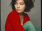 Zamylená Björk v dob svých zaátk s kabelou The Sugarcubes.