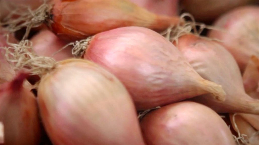 PŘEHLED: Nejvíce zdražila cibule a zelí. Ušetří se na jablkách