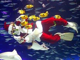 SANTA POD VODOU. Vánoní oslavy probíhají i v tokijském akváriu, kde potáp v...