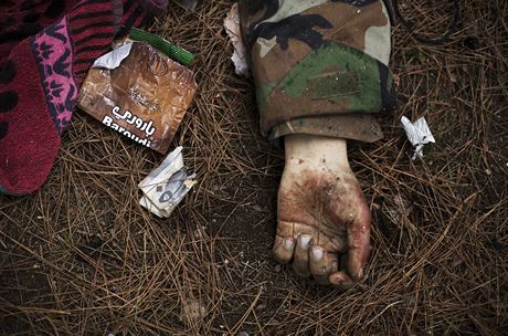 Mrtv vojk syrsk armdy po bojch z 15. prosince 2012.