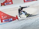 Ester Ledecká pi závod v paralelním slalomu v italské Cortin dAmpezzo.