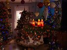 Vánoní stromky u Jeromineových  