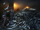 Nadmrný rybolov zpsobil v Jihoínském moi rychlý úbytek populace tuák.