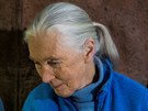 Dvaaosmdesátiletá Jane Goodallová v Pavilonu goril praské zoo