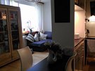 Spojený obývací pokoj s kuchyní