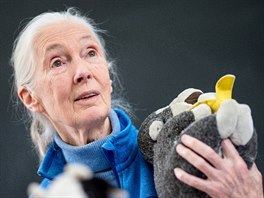 Jane Goodallov bhem pednky v posluchrn Prodovdeck fakulty UK v Praze.