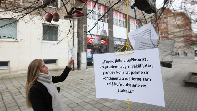 Netradin vnon strom s dekoracemi v podob prolapanch bot a vzkaz od bezdomovc u autobusov zastvky v Legionsk ulici v centru Olomouce. (16. prosinec 2016)