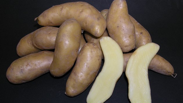 Keřkovské rohlíčky, které dostaly jméno podle svého typického tvaru a místa vyšlechtění, se pořád drží v oblibě. Podle některých kuchařek je bramborový salát z této odrůdy bezkonkurenční.