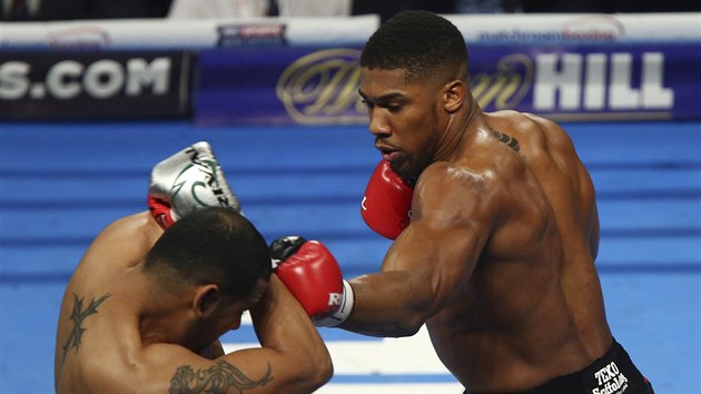 Britsk boxer Anthony Joshua v souboji  o titul profesionlnho mistra svta tk vhy organizace IBF to na Ameriana rica Molinu.