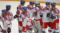 DOBRÁ PRÁCE. Čeští hokejisté po vítězství nad Švédskem.