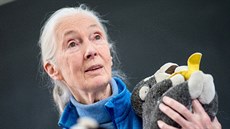 Jane Goodallová bhem pednáky v posluchárn Pírodovdecké fakulty UK v Praze