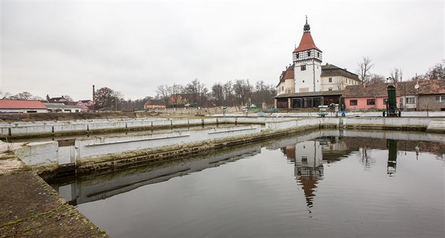 V Blatné zpracovávají lososy z Norska i jihoeské kapry.