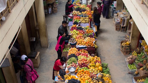 Trh v Chachapoyas