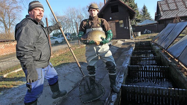 Lubo Benedik (vlevo) a Ji Frydrych prodvaj ryby u krnovskho Petrova rybnka. Prce ped listopadovm vlovem pro n zaala u v polovin jna startem postupnho vypoutn rybnka.