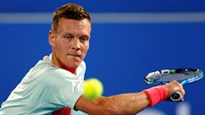 Tomá Berdych na exhibiním turnaji v Abú Zabí.