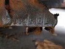 Aston Martin DB4 stál pes 40 let odstavený v lese.