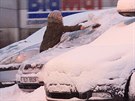 Jablonec nad Nisou zasypal sníh (4. ledna 2017).