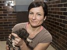 Zooloka Gabriela Linhartová ukazuje novorozence psa hyenovitého v ZOO Dvr...