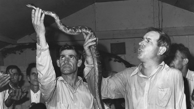 Rituál dotýkání se had v Kentucky v roce 1946