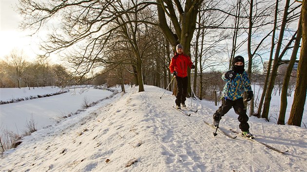 Díky přírodnímu sněhu vyrazili lidé na běžkách i podél Orlice v Hradci Králové (6.1.2017).