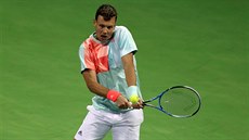 Tomá� Berdych se chystá na úder ve �tvrtfinále turnaje v Dauhá.