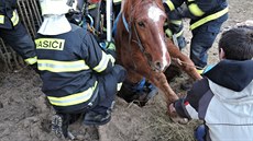 K vyta�ení zví�ete hasi�i pou�ili trojno�ku, kterou mají lezci ve výbav�, a...