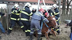 K vytaení zvíete hasii pouili trojnoku, kterou mají lezci ve výbav, a...