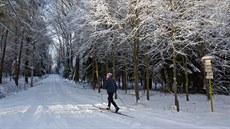 Díky přírodnímu sněhu vyrazili lidé do hradeckých lesů na běžkách (6.1.2017).