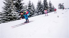 NA TRATI. Martin Fourcade (vlevo) bhem závodu s hromadným startem v Oberhofu