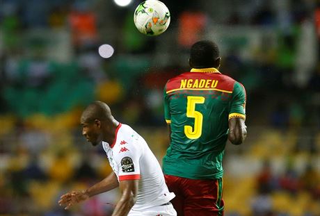 Michael Ngadeu Ngadjui, obránce kamerunské reprezetnace, v akci bhem zápasu s...