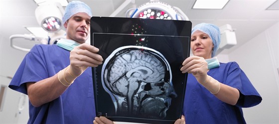 Muský a enský mozek se výrazn nelií. Tvrdí to stále více vdeckých studií.