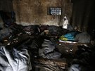 Migranti u Blehradu zabydleli oputnou elezniní budovu (9. ledna 2017)