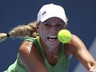 Dánská tenistka Caroline Wozniacká na turnaji v Sydney v duelu s Barborou...