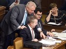 Jednání Sněmovny o vetu prezidenta Miloše Zemana k novele zákona o střetu...