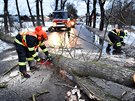 Hasii odstraují padlé stromy na silnici ze Staré Role na Rosnice. (13. ledna...